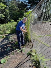 Team members clearing yard debris at Cerra Park.