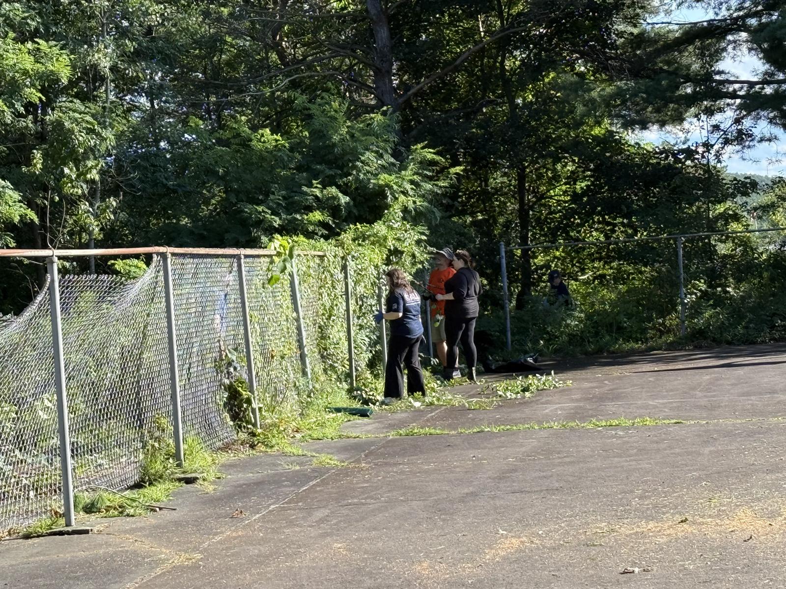Volunteers clearing brush from along the chain-link fence at Cerra Park.
