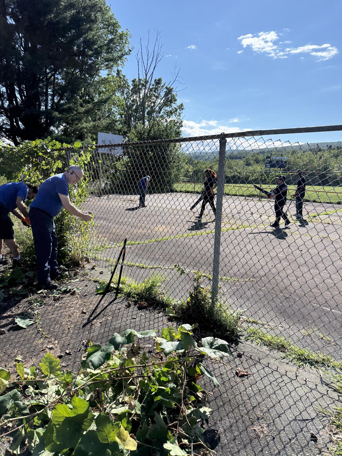 Volunteers pulling vines off the fence while others work the court behind them.